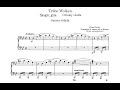Liszt - Nuages Gris, S. 199 [Zimerman]