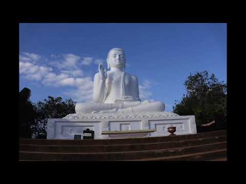 Mike Sulu Podcast Februar 2018