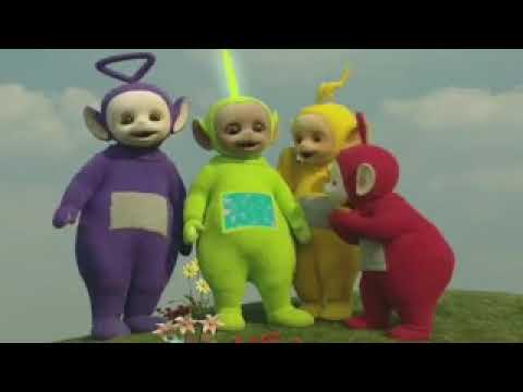 Teletubbies Ducks (Custom Version)