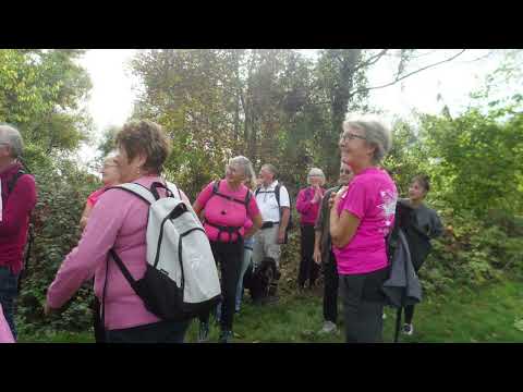 20221022 freneuse rose