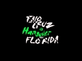Hangover - Taio Cruz feat. Flo Rida (Hit 'em ...