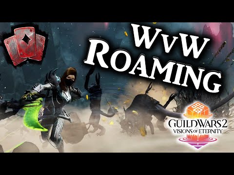 ANTIQUARY IS CRAZY - Guild Wars 2 PvP/WvW Roaming