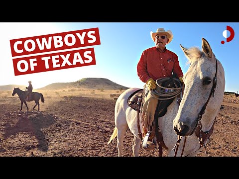 Cowboys of West Texas (o6 Ranch) 🇺🇸
