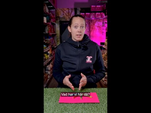 Tandvänliga ätbara pennor 4 stycken - Video