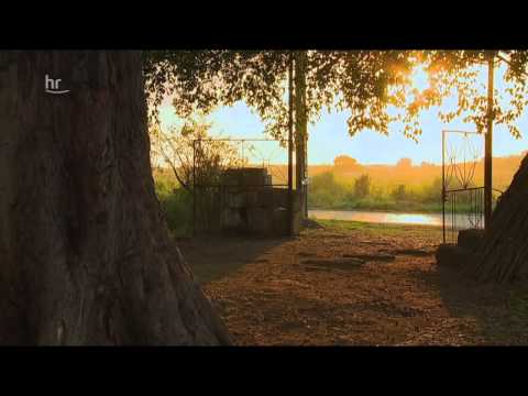 Kubas göttliche Rhythmen. Die afrikanischen Wurzeln von Salsa und Son