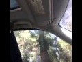 Dear Glove Compartment    FUNNY VINE!