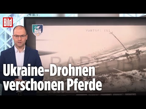 Kiew bombardiert besetztes Krankenhaus in Charkiw | BILD-Lagezentrum