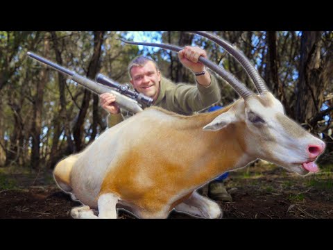 I Hunted Exotic Animals in Texas for the First Time!
