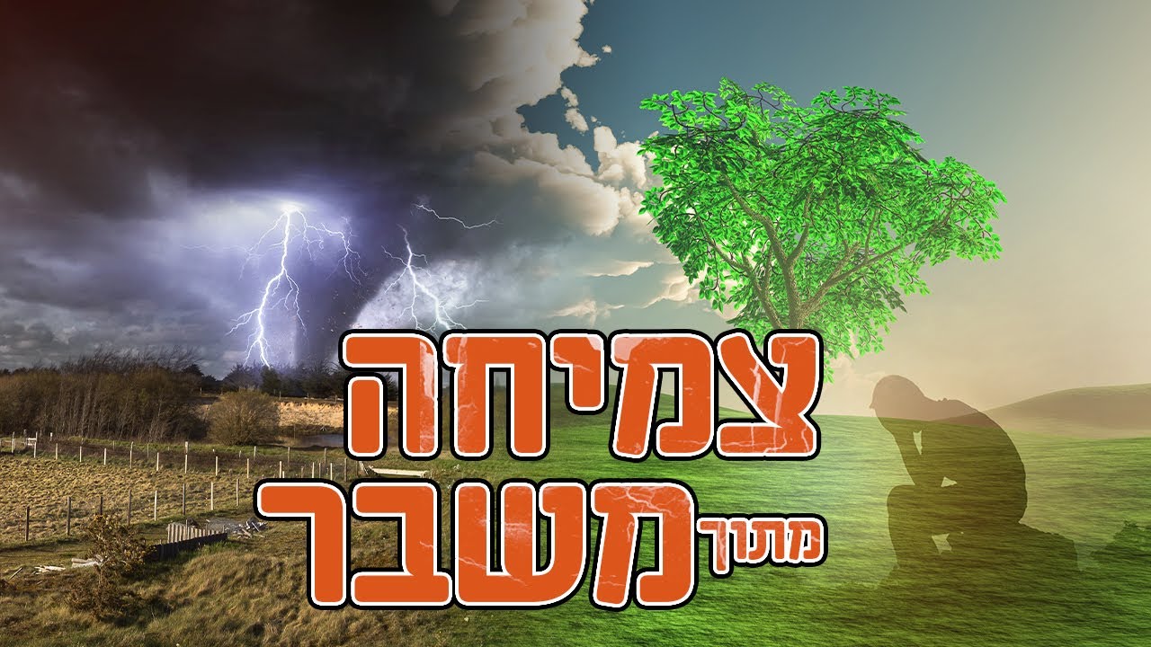 צמיחה מתוך משבר | גישת היהדות + כלים פרקטים | הרצאה עוצמתית שאסור לפספס | ד"ר גיל יוסף שחר (M.D)