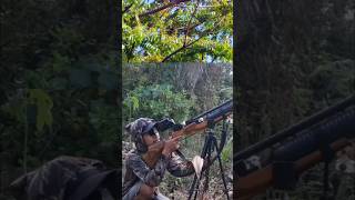 Download lagu Burung walik #hunting mp3