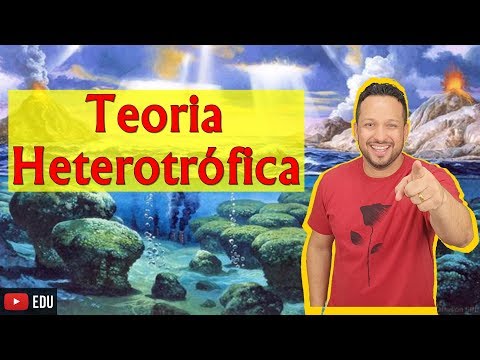 Heterotrophic Theory - Origin of Life - Biology with the Shark