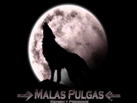 2 - Malas Pulgas - Mercenarios (Ft. Pando)