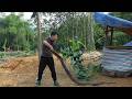 This Video Documents All The Stages Of Egan Building The Farm To Help His Grandmother