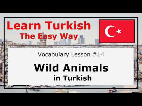 Learn Wild Animals in Turkish Language with Pronunciation and Examples (Vocabulary Lesson #14)