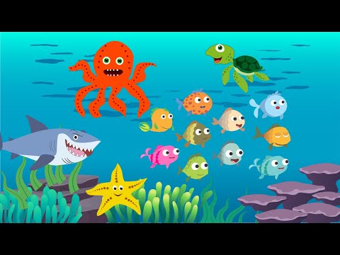10 Little fishes Song in Bangla  | 10 Little Fish Song | Kids Songs | Bangla Rhymes | Bangla Cartoon