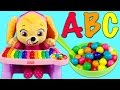 LEARN ABC Song with Paw Patrol Baby Skye Part 1!