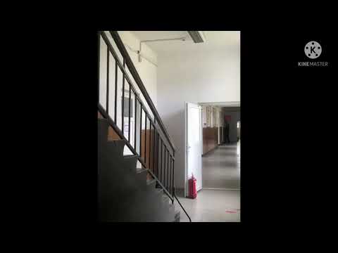 Scoala Turt, Romania