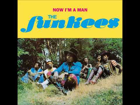 A FLG Maurepas upload - The Funkees - Now I'm A Man - Afro Funk