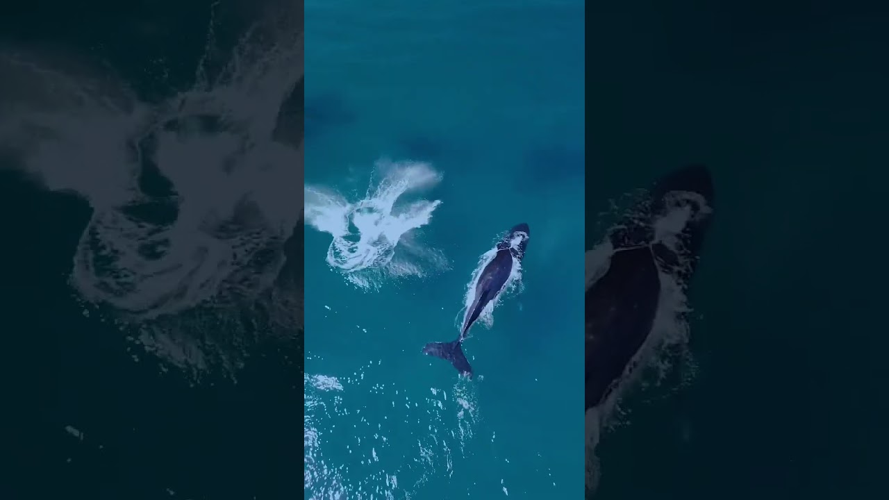 YouTube Short thumbnail