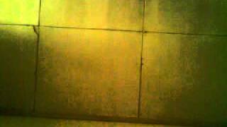 Reel Big Fish - Nothin&#39; But A Good Time.MP4