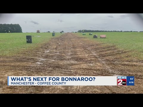 When Does Bonnaroo Lineup Come Out