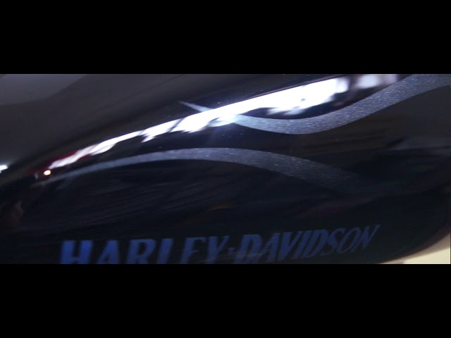 CUSTOMPAINT Harley-Davidson XL1200L