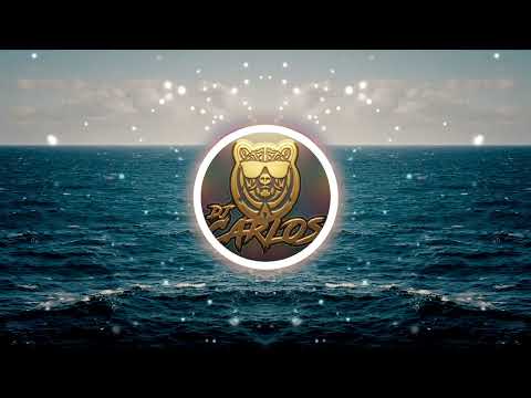 Push That Funky Feeling // Freak Brothers feat  Nightwalkers