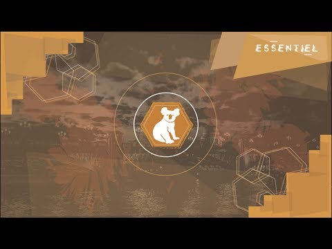 🐨 FREE | SCH ∝ Lacrim ∝ Damso Type Beat | “Essentiel” | Rap/Trap Instrumental 2017 | Prod. Driksay