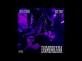 Seyi Vibez Neyo Stoner Dominicana Offical Audio