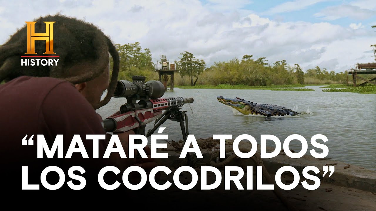 MATARÉ A TODOS LOS COCODRILOS - AMOS DEL PANTANO