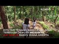 Mengunjungi Indahnya Air Terjun Di Tengah Hutan