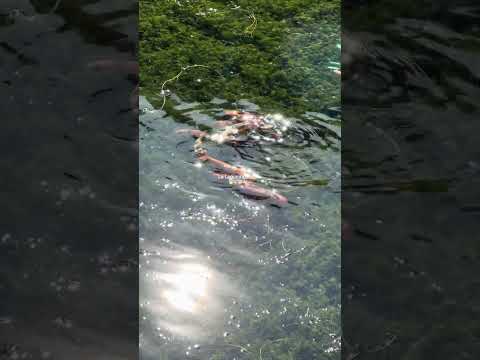 Tour Isnotú + Trujillo + La Puerta #venezuela #turismo #travesia #travel #viajeinolvidable #viajes