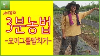 [서이장의 3분농법] 오이그물망 치기