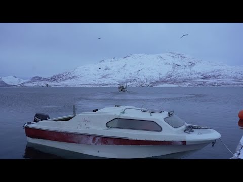 冰庫全滿！格陵蘭人的「準備」就是一種生活方式 | 路透 (Freezers full: preparedness is a way of life for Greenlanders | REUTERS)