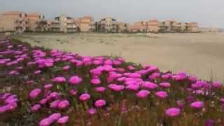preview picture of video 'VILLAGE NATURISTE A PORT LEUCATE ... LANGUEDOC ROUSSILLON ...'