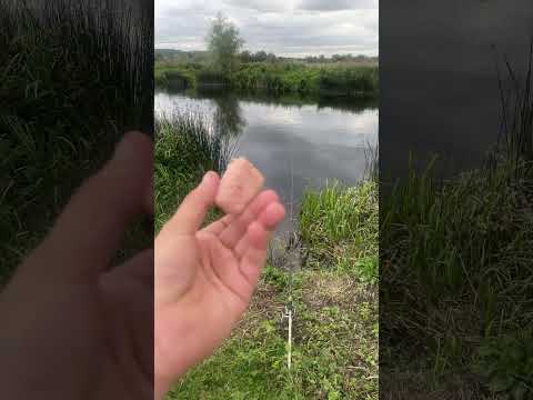 How to catch a big barbel