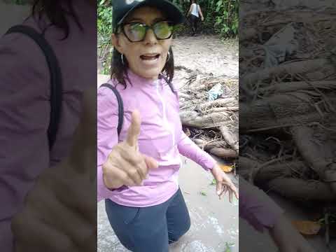 Trilha em Santa Rita na Paraiba #trilhas #paraiba #natureza #