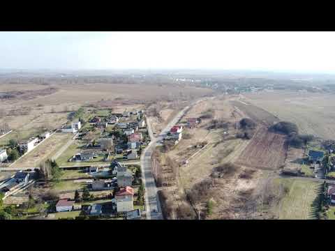 Rogoźnik z lotu ptaka