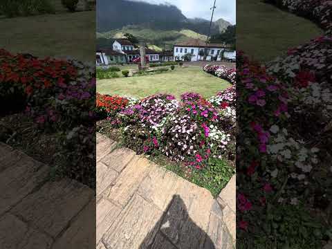 CATAS ALTAS Minas Gerais