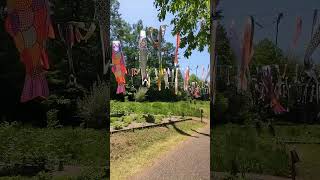 鯉のぼり 国営アルプスあづみの公園にて