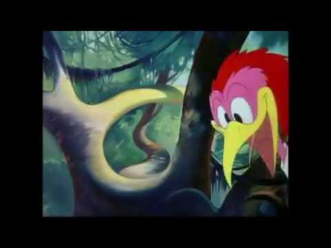 10 minutes of Aracuan