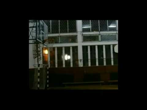 Aleksandar Radojevic part2