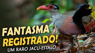 Miniatura do vídeo