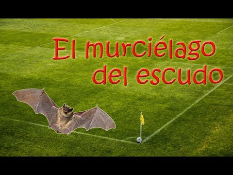Horroritat valenciana - Capítulo 5 - El murciélago del escudo