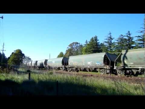 81 class on Limestone Train