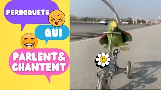 Miniature vidéo