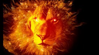 ICO: Vibrate: Revolutionizing the music industry.