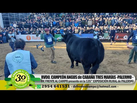 RSVDO. de GRAN CAMPEÓN ANGUS 2023 - CABAÑA "TRES MARÍAS" de GUTIERREZ- .