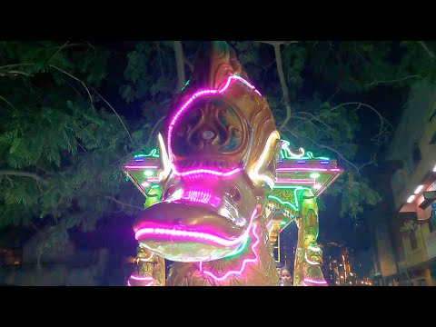 City Lights [ Music Video ] - Xstacy Sash | King Jassim | Bmac | Mvehrt | Inayah | Sandeep