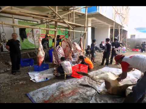 Tridaya Berqurban 1435 H